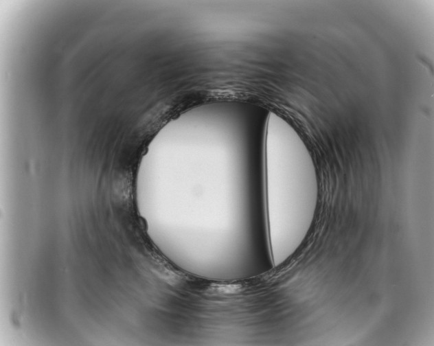 X0000095520665200712140911