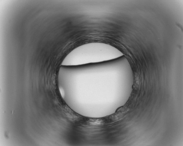 X0000095520667200712140911
