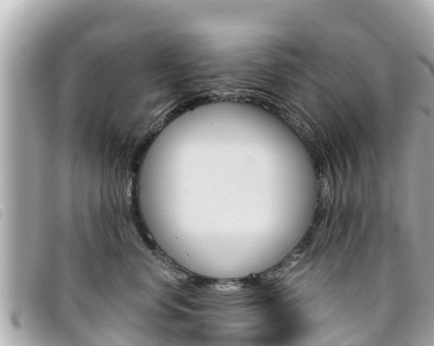 X0000095520668200712140911