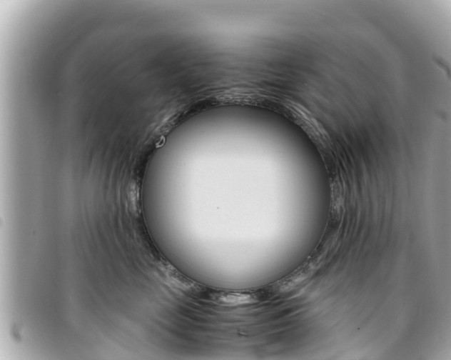 X0000095520669200712140911