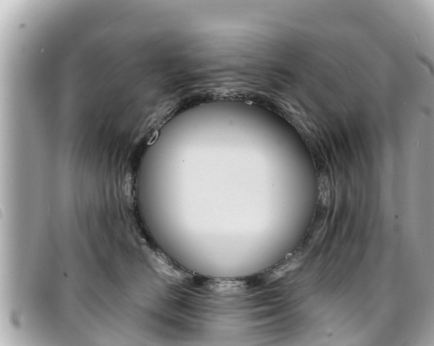 X0000095520670200712140911