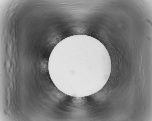 X0000095520672200712140911