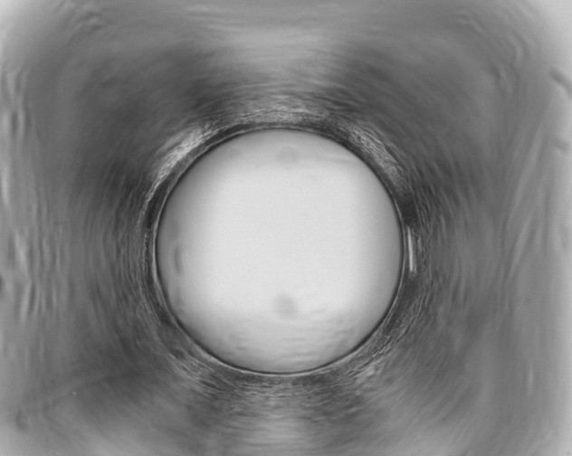 X0000095520675200712140910
