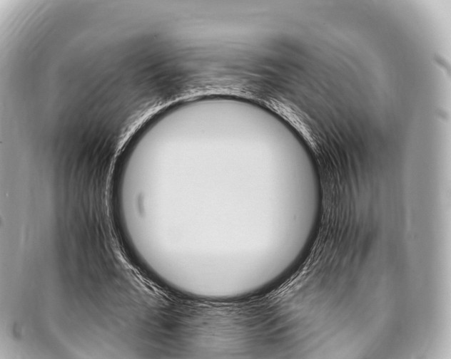X0000095520676200712140910
