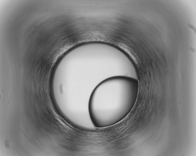 X0000095520677200712140910