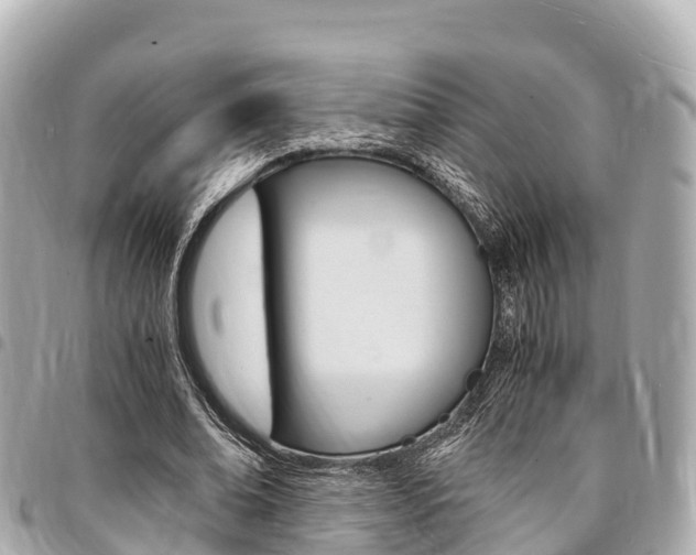 X0000095520678200712140910