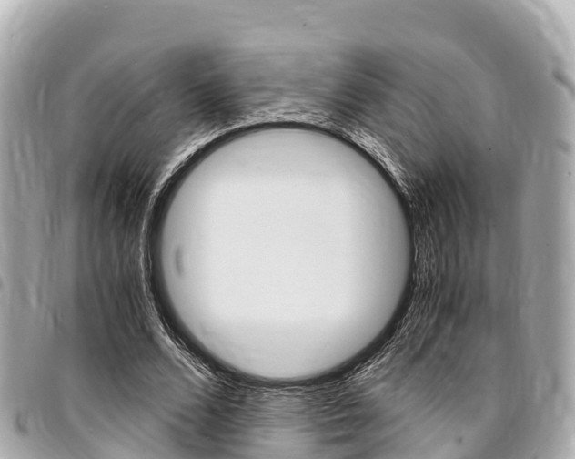 X0000095520680200712140910