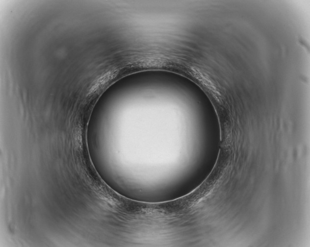X0000095520681200712140910