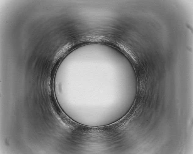 X0000095520682200712140910