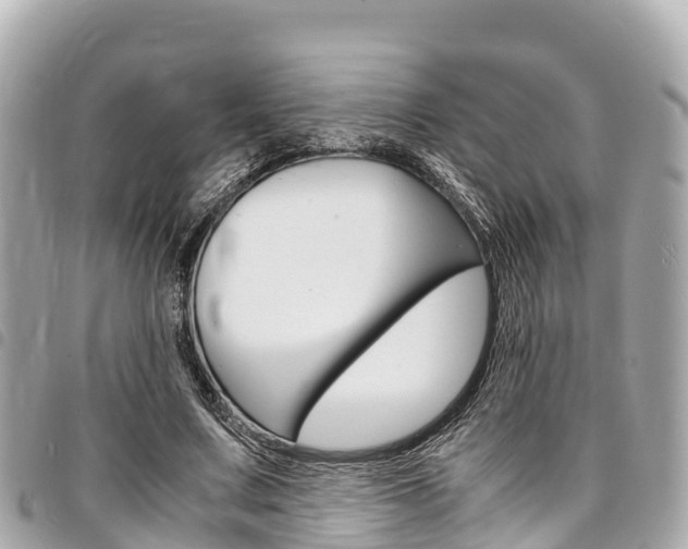 X0000095520683200712140910