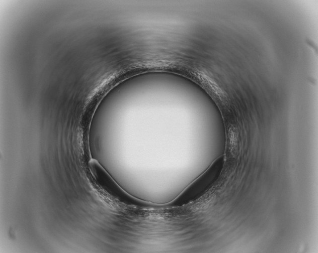 X0000095520684200712140910