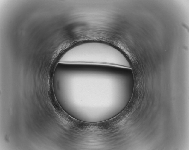 X0000095520685200712140910
