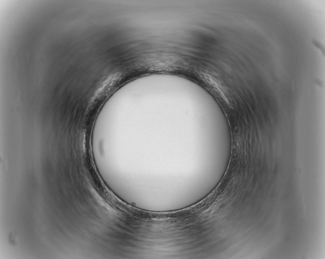 X0000095520686200712140910