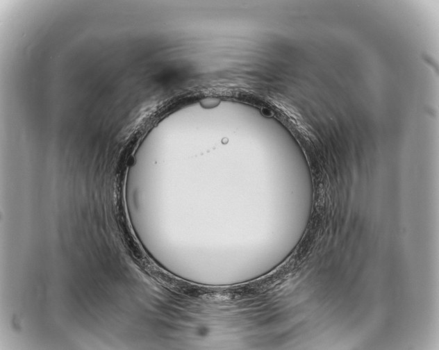 X0000095520687200712140910