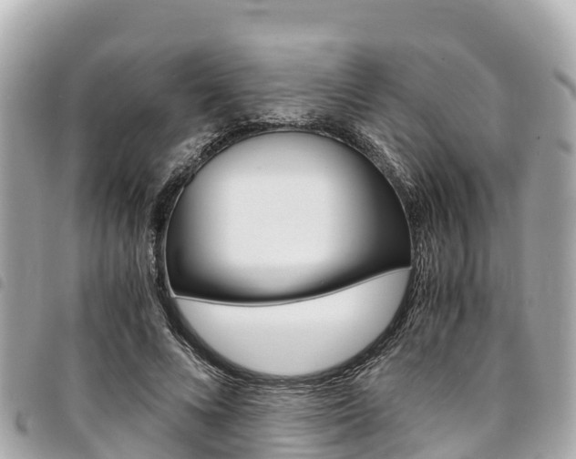 X0000095520688200712140910