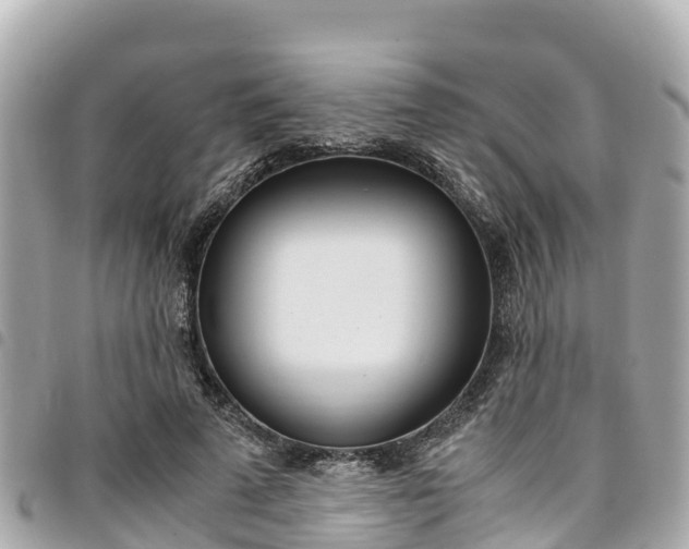 X0000095520689200712140910