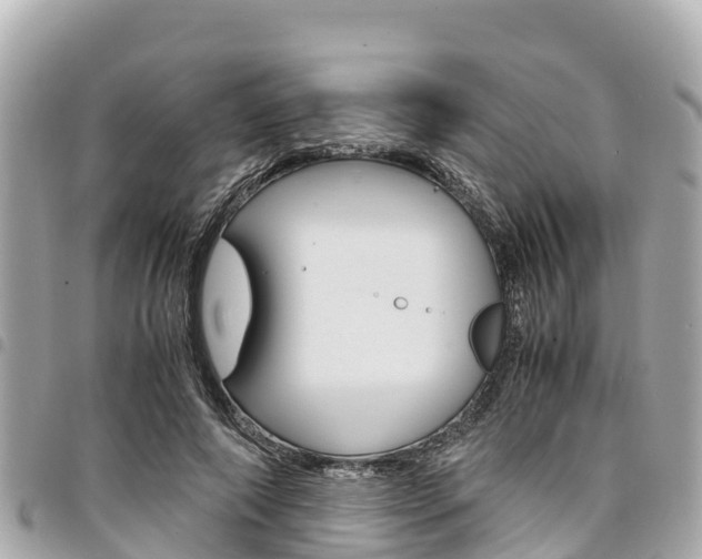 X0000095520690200712140910