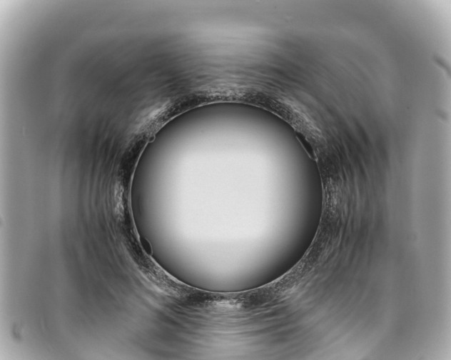 X0000095520692200712140910