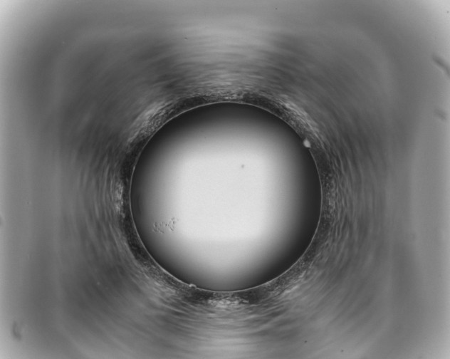 X0000095520693200712140910