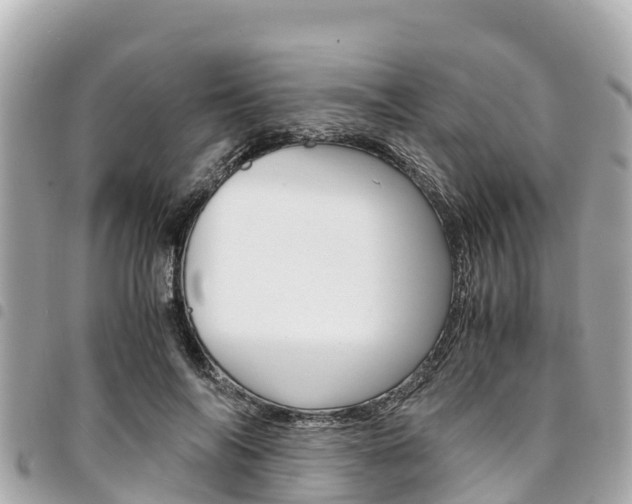 X0000095520694200712140910
