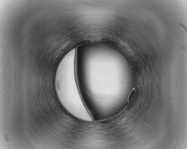 X0000095520697200712140910