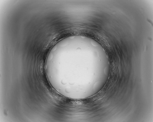 X0000095520698200712140910