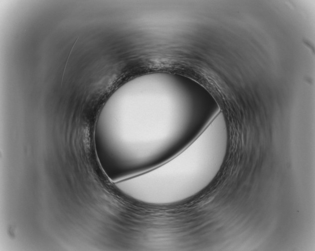 X0000095520700200712140910