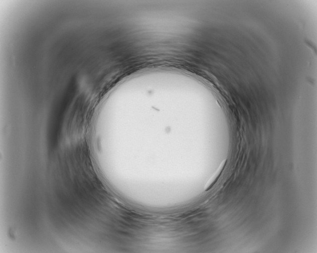 X0000095520701200712140910