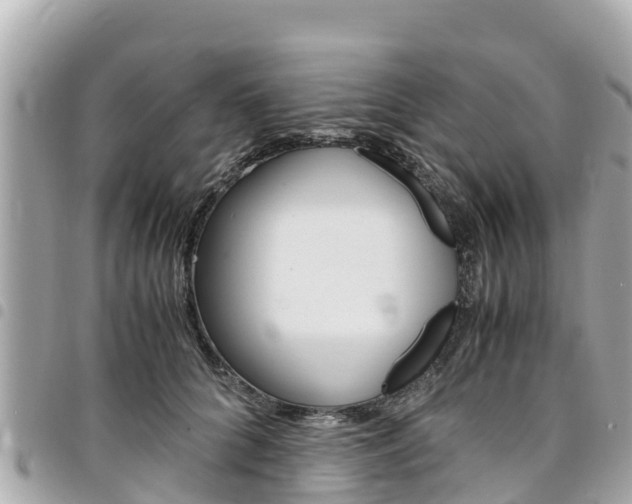 X0000095520704200712140910