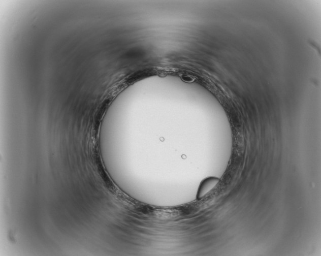 X0000095520707200712140910