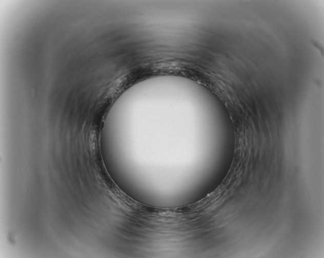 X0000095520708200712140910
