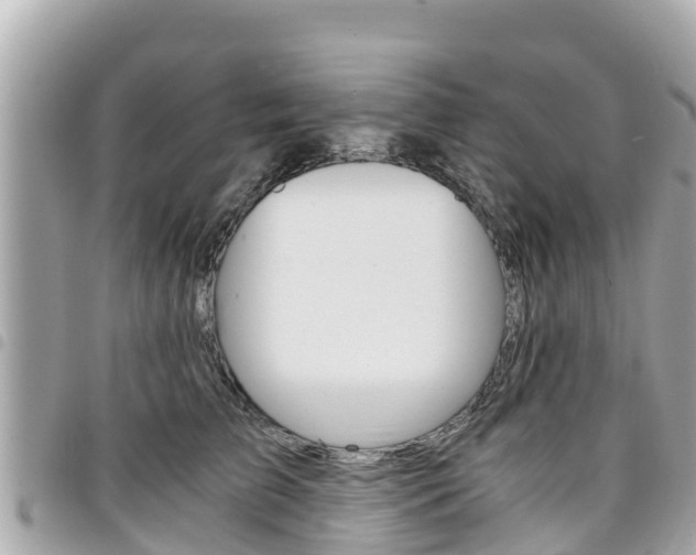 X0000095520709200712140910