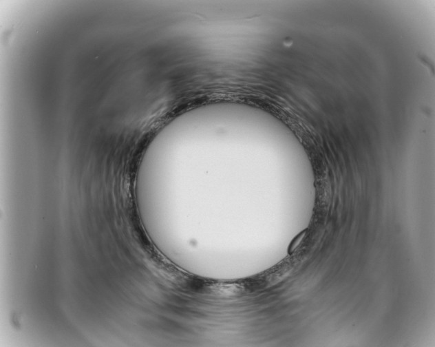 X0000095520711200712140909
