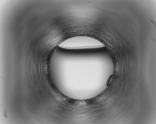 X0000095520715200712140909