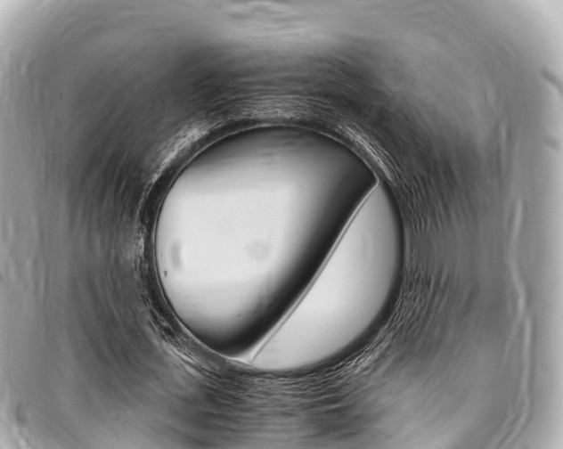 X0000095520723200712140909