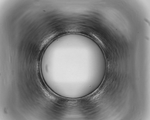 X0000095520725200712140909