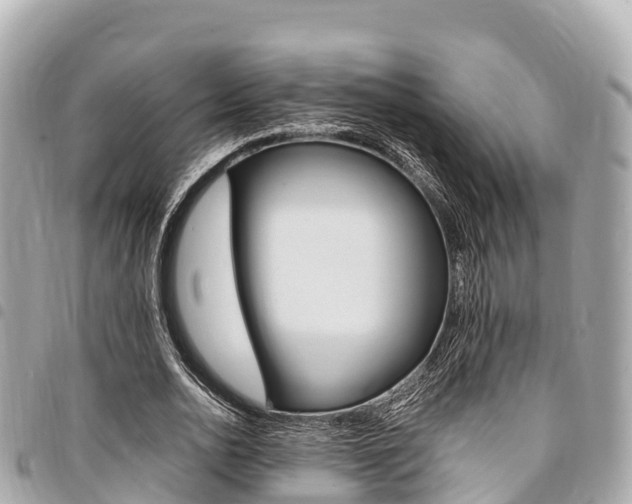 X0000095520726200712140909