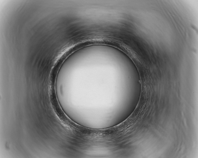 X0000095520728200712140909