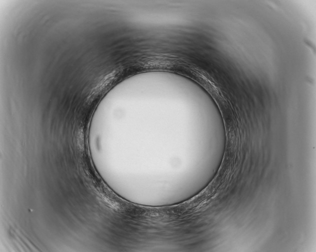 X0000095520729200712140909