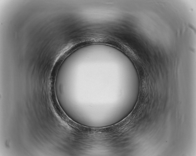 X0000095520730200712140909