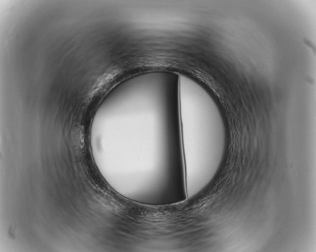 X0000095520731200712140909