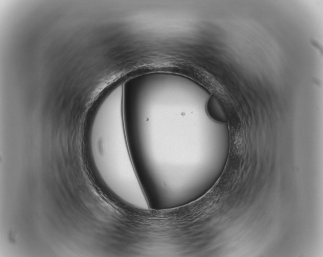 X0000095520732200712140909