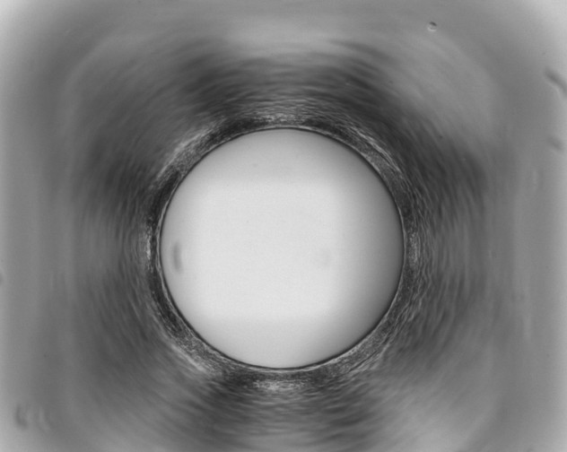 X0000095520733200712140909