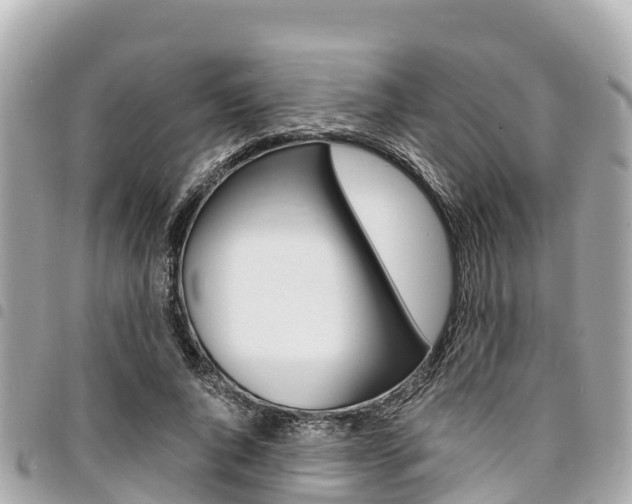 X0000095520736200712140909