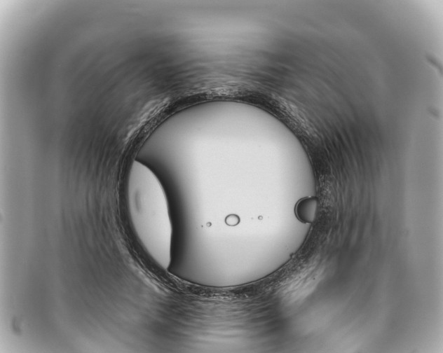 X0000095520738200712140909