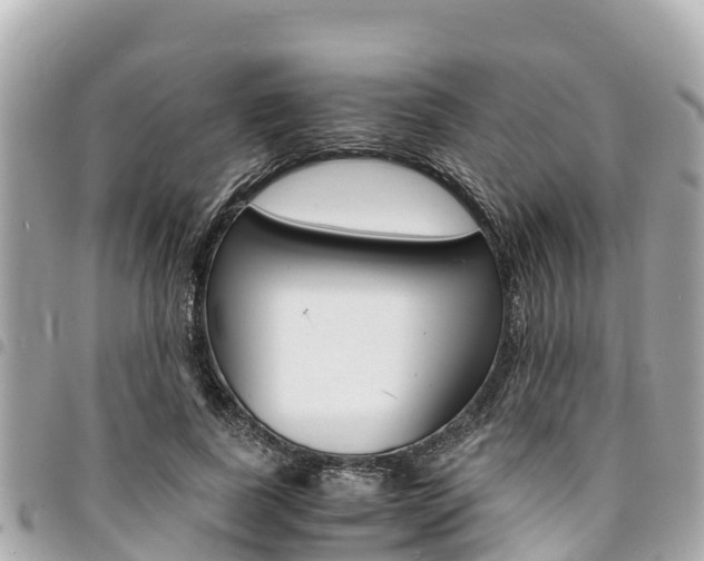 X0000095520739200712140909