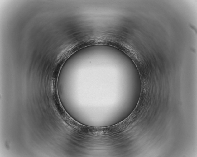 X0000095520740200712140909
