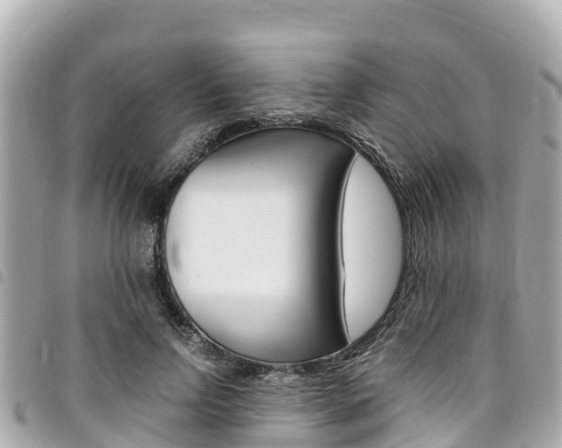 X0000095520742200712140909