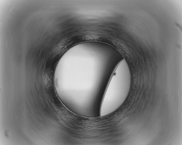X0000095520743200712140909