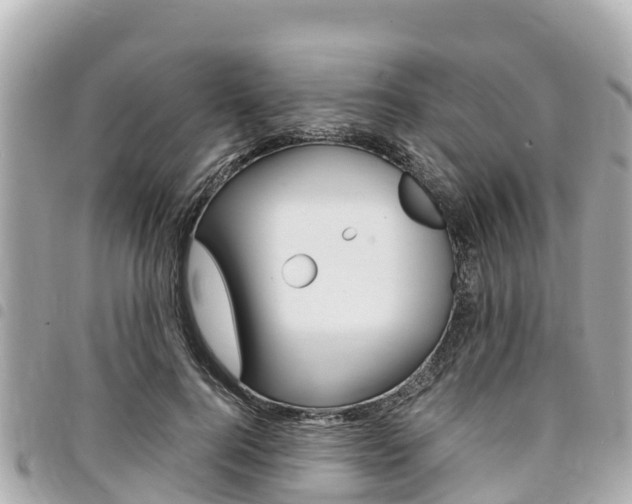 X0000095520744200712140909